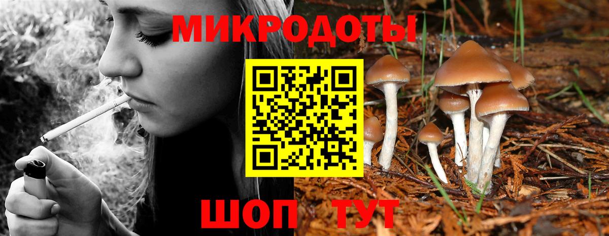 Томск  купить закладку  Вход с VPN  Галлюциногенные грибы Psilocybine cubensis 